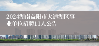 2024湖南益阳市大通湖区事业单位招聘11人公告