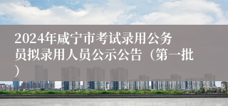 2024年咸宁市考试录用公务员拟录用人员公示公告（第一批）