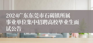 2024广东东莞市石碣镇所属事业单位集中招聘高校毕业生面试公告