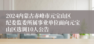 2024内蒙古赤峰市元宝山区纪委监委所属事业单位面向元宝山区选调10人公告