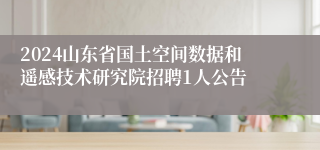 2024山东省国土空间数据和遥感技术研究院招聘1人公告