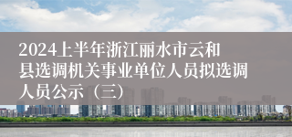 2024上半年浙江丽水市云和县选调机关事业单位人员拟选调人员公示（三）