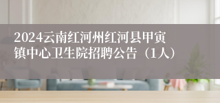 2024云南红河州红河县甲寅镇中心卫生院招聘公告（1人）