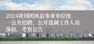2024黄冈团风县事业单位统一公开招聘、公开选调工作人员体检、考察公告