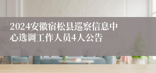 2024安徽宿松县巡察信息中心选调工作人员4人公告