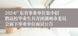 2024广东省事业单位集中招聘高校毕业生共青团潮州市委员会属下事业单位面试公告