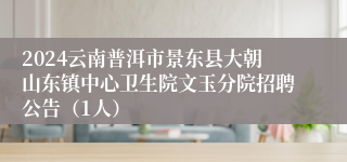 2024云南普洱市景东县大朝山东镇中心卫生院文玉分院招聘公告（1人）