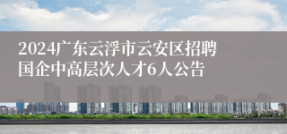 2024广东云浮市云安区招聘国企中高层次人才6人公告