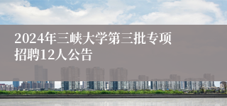 2024年三峡大学第三批专项招聘12人公告