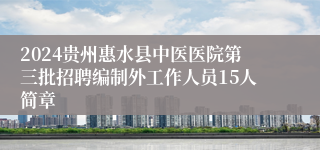 2024贵州惠水县中医医院第三批招聘编制外工作人员15人简章