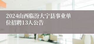 2024山西临汾大宁县事业单位招聘13人公告