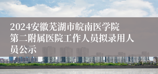 2024安徽芜湖市皖南医学院第二附属医院工作人员拟录用人员公示