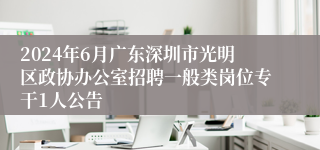 2024年6月广东深圳市光明区政协办公室招聘一般类岗位专干1人公告