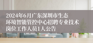 2024年6月广东深圳市生态环境智能管控中心招聘专业技术岗位工作人员1人公告