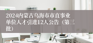 2024内蒙古乌海市市直事业单位人才引进12人公告（第三批）