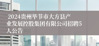  2024贵州毕节市大方县产业发展控股集团有限公司招聘5人公告