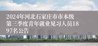 2024年河北石家庄市市本级第三季度青年就业见习人员1897名公告