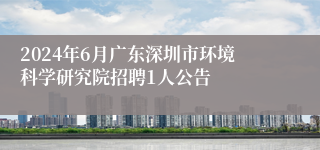 2024年6月广东深圳市环境科学研究院招聘1人公告