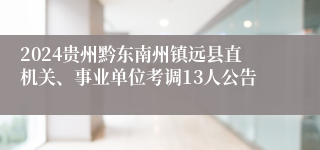 2024贵州黔东南州镇远县直机关、事业单位考调13人公告