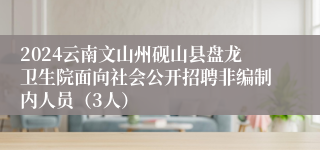 2024云南文山州砚山县盘龙卫生院面向社会公开招聘非编制内人员（3人）