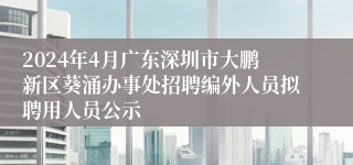 2024年4月广东深圳市大鹏新区葵涌办事处招聘编外人员拟聘用人员公示