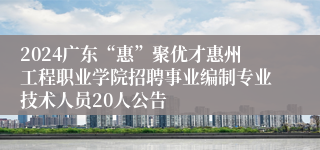 2024广东“惠”聚优才惠州工程职业学院招聘事业编制专业技术人员20人公告