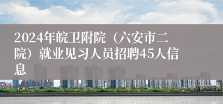 2024年皖卫附院（六安市二院）就业见习人员招聘45人信息