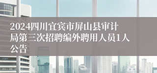 2024四川宜宾市屏山县审计局第三次招聘编外聘用人员1人公告