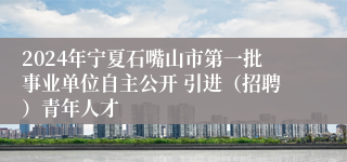 2024年宁夏石嘴山市第一批事业单位自主公开 引进（招聘）青年人才