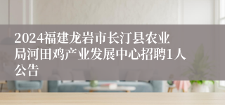 2024福建龙岩市长汀县农业局河田鸡产业发展中心招聘1人公告