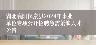 湖北襄阳保康县2024年事业单位专项公开招聘急需紧缺人才公告