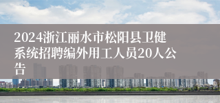 2024浙江丽水市松阳县卫健系统招聘编外用工人员20人公告