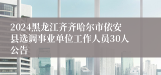 2024黑龙江齐齐哈尔市依安县选调事业单位工作人员30人公告