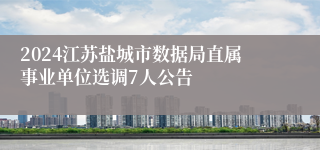 2024江苏盐城市数据局直属事业单位选调7人公告