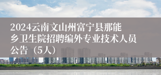 2024云南文山州富宁县那能乡卫生院招聘编外专业技术人员公告（5人）