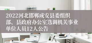 2022河北邯郸成安县委组织部、县政府办公室选调机关事业单位人员12人公告