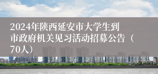 2024年陕西延安市大学生到市政府机关见习活动招募公告（70人）