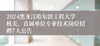 2024黑龙江哈尔滨工程大学机关、直属单位专业技术岗位招聘7人公告