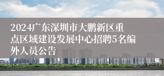 2024广东深圳市大鹏新区重点区域建设发展中心招聘5名编外人员公告