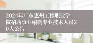 2024年广东惠州工程职业学院招聘事业编制专业技术人员20人公告