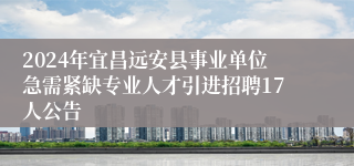 2024年宜昌远安县事业单位急需紧缺专业人才引进招聘17人公告