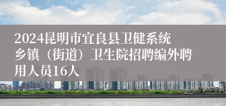 2024昆明市宜良县卫健系统乡镇（街道）卫生院招聘编外聘用人员16人