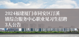 2024福建厦门市同安区汀溪镇综合服务中心职业见习生招聘3人公告