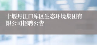 十堰丹江口库区生态环境集团有限公司招聘公告