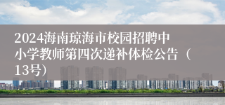 2024海南琼海市校园招聘中小学教师第四次递补体检公告（13号）