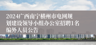 2024广西南宁横州市电网规划建设领导小组办公室招聘1名编外人员公告