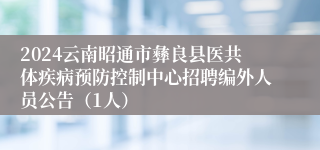 2024云南昭通市彝良县医共体疾病预防控制中心招聘编外人员公告（1人）