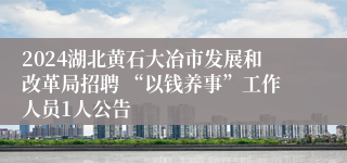 2024湖北黄石大冶市发展和改革局招聘 “以钱养事”工作人员1人公告