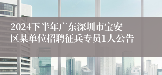 2024下半年广东深圳市宝安区某单位招聘征兵专员1人公告