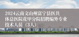 2024云南文山州富宁县医共体总医院花甲分院招聘编外专业技术人员（3人）